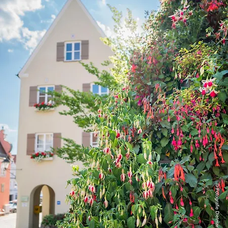 Hotell Schieners & Apfelhof 3*