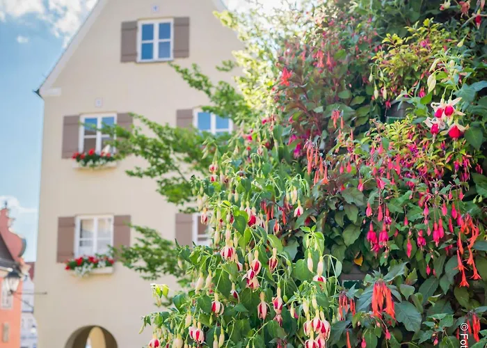 Hotel Schieners & Apfelhof 3*